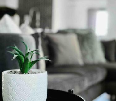 Evansville Apartment | Suite Home Indiana Apartments