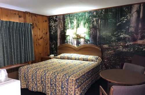 Cadillac Hotel | Sun 'N Snow Hotel
