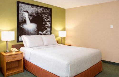Antigo Hotel | Super 8 by Wyndham Antigo