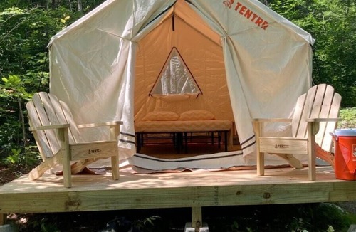 Gray RV Rental | Tentrr Signature Site - Two Eagles Campsite