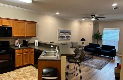 North Overton Condo | Texas Tech Modern Condo Prime Location - Walk to TTU Campus, Broadway & Downtown