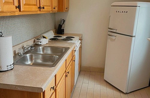Soulard Apartment | The Elevated Soulard Escape: Cozy 1-bedroom apartment. Pet- Friendly!