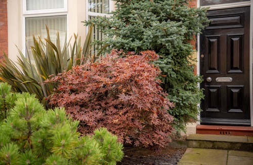 Whitley Bay Cottage | THE GEORGE, pet friendly, country holiday cottage in Whitley Bay