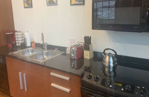 Downtown St. Louis Apartment | The Luxe Art Gallery-Downtown St. Louis