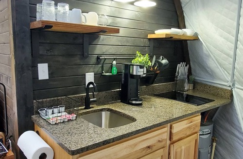 Rockbridge Cabin | The Penguin Geodesic dome " Igloo Vibes"