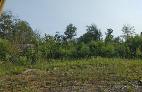 Ray Cabin | The River Retreat! Private Wooded Getaway