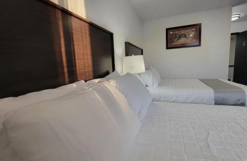Minot Hotel | The Suite Inn Minot