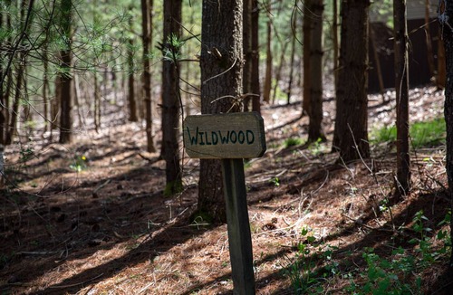 Old Washington Cottage | Timberline Cabins - Wildwood Cottage - Hot tub, Pets