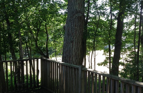 Southern Coast Apartment | Tree Tops apartment with large deck overlooking the Kennebunk River