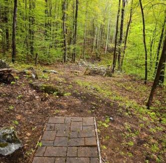 Stoneham House | Treehouse in Maine woods- The Grand Oak