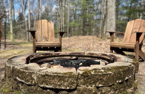 Wellston Cabin | Two Bedroom Cabin in the Heart of Manistee Forest #2