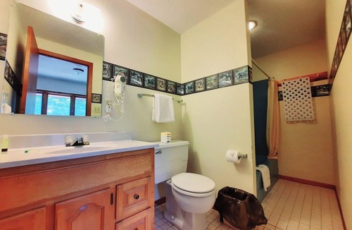 Ironwood Cabin | Unique Northern Lights Themed Guestroom inside the Lodge at North Ironwood Acres for up to Four people. 2 Queens, 2 Bathrooms. Dog Friendly resort!