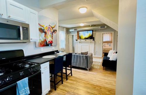 Central Northside Apartment | Walk: PNC Park & Acrisure + FREE private park
