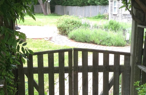 Tisbury House | Walk to town/ferry, beach amenities, flat-screen TV, WiFi