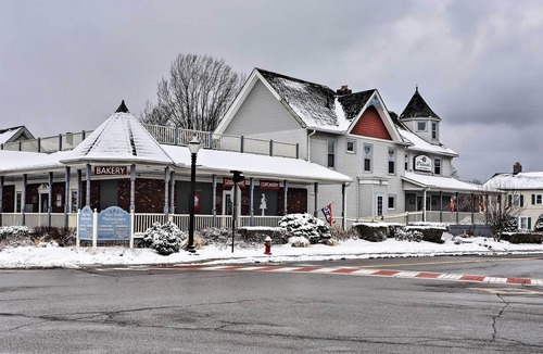 Amherst Apartment | Warm & Welcoming Suite: Amherst Historic District
