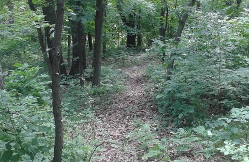 Marseilles RV Rental | Welcome to our magical woods! Relax, unwind a world away but close to home.