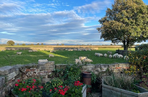 Melmerby Cottage | West View