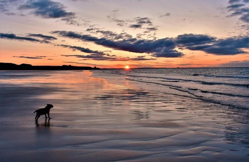 Alnmouth House | Westlea Guest House