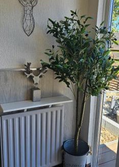 Buckie House | Westview