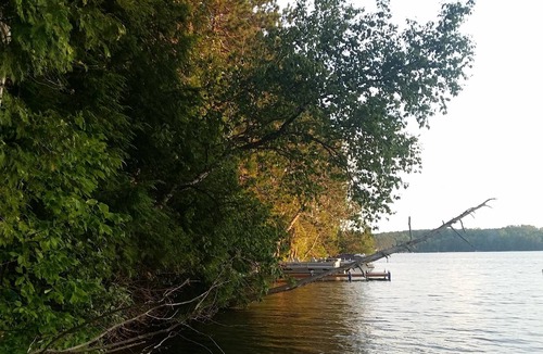 Lakewood Cottage | Wheeler Lake Cottage - Rustic, Charming and Private