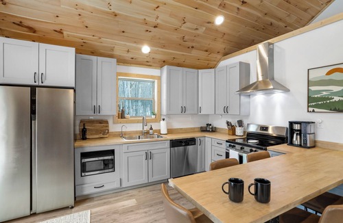 McHenry Cabin | Wild Laurel - Sleeps 6 - Family Curated - Hot tub- Under 10 mins to WISP/Lake