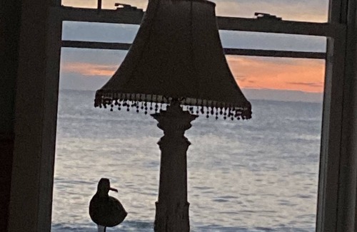 Salisbury Cottage | Winter Rental Avail. Oceanfront Custom Cottage Direct Beach Access