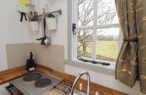 Falstone Cottage | Woodland