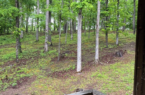Lone Cabin | Woodland Retreat