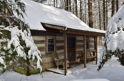Laurelville Cabin | Woodland view-Blue Log Cabin