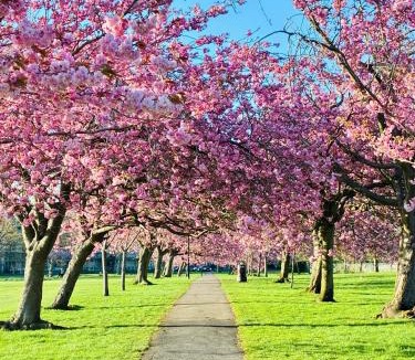 Harrogate House | Your Harrogate Stay
