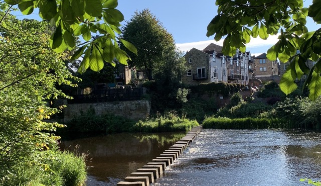 1 Bedroom - Sleeps 4 - Pets - Parking on Site