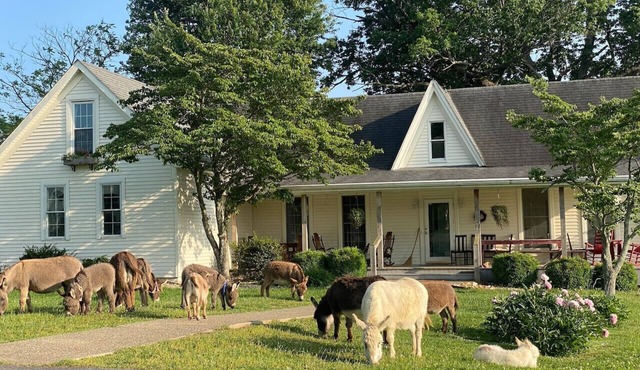 1884 Farmhouse at Donkeytown Designed for large get togethers!