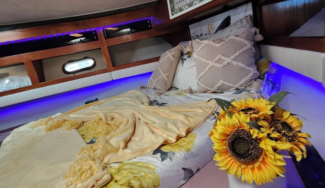 2 Bedrooms Yacht Rental