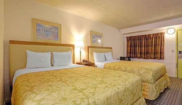 2 Pet-Friendly Accommodations w/Free Parking near Sycamore State Park