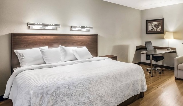 3 Budget-Friendly Units! Pet-Friendly Property, Minutes to Medford Square!