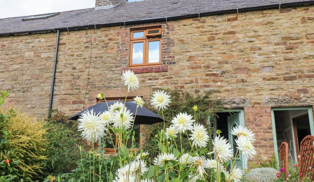 3 Tindale Terrace