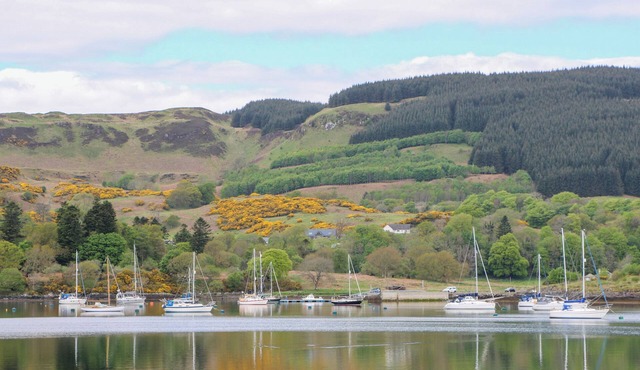 3 Whin Bank