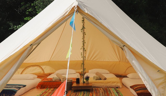 36 Highland Oak - sleeps 4 guests