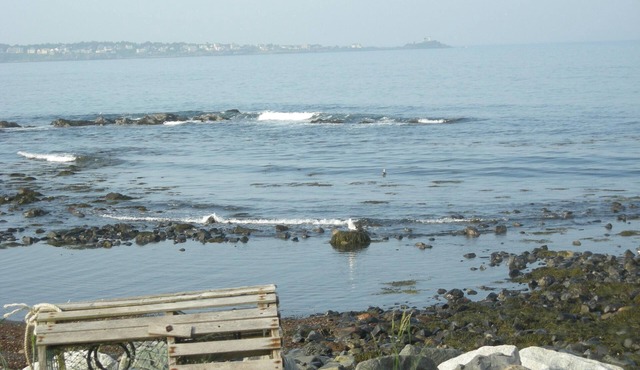 40' from the ocean! Fri check in. Magnificent views of the coast and lighthouse!
