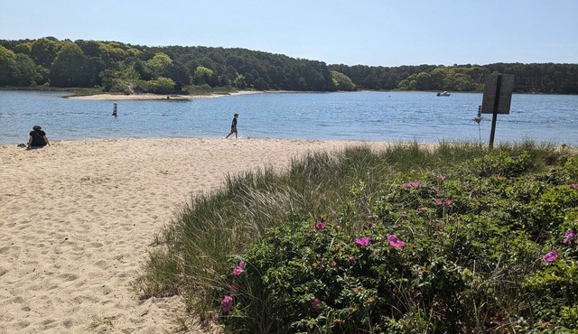 5 minute walk to small community Beach, 3 miles to Menauhant Beach