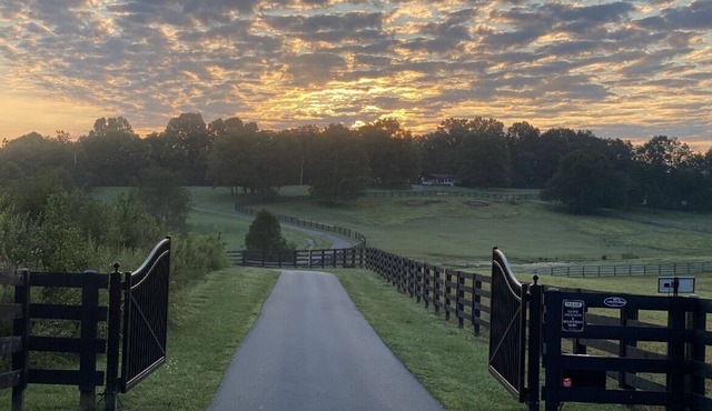 80 acre Kentucky Horse Farm 6BR/4BA 30 mins. to Derby 10 mins. to PGA.