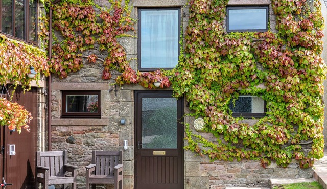 A cottage that sleeps 4 guests in 3 bedrooms