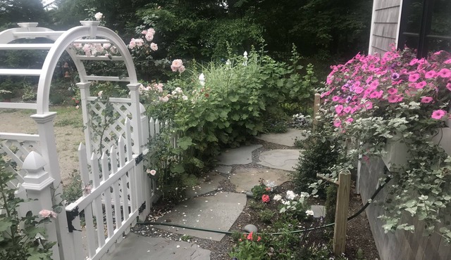 "A Quiet Place" minimum stay is 10 night
