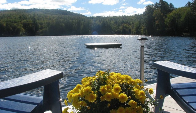 A Sweet Private Waterfront Cottage. Happy loons and hummingbirds complementary!
