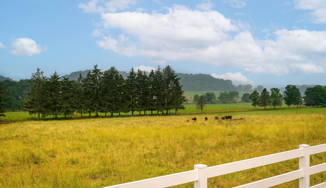 Amazing views, hot tub/outdoor fireplace, countryside, farm with calves & goats.