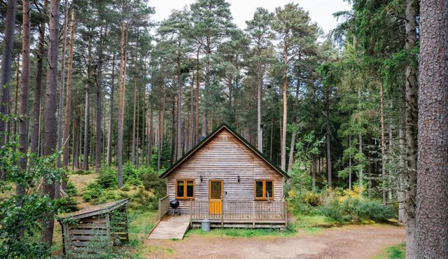 Apartment Red Squirrel Lodge by Interhome