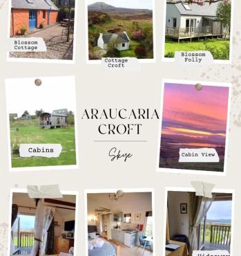 Araucaria Croft Skye