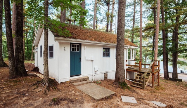 Arbutus Lakeview Retreat | Fishing | Near TC!