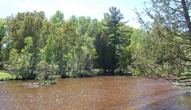Ausable River - Beautiful Views - Bear Den