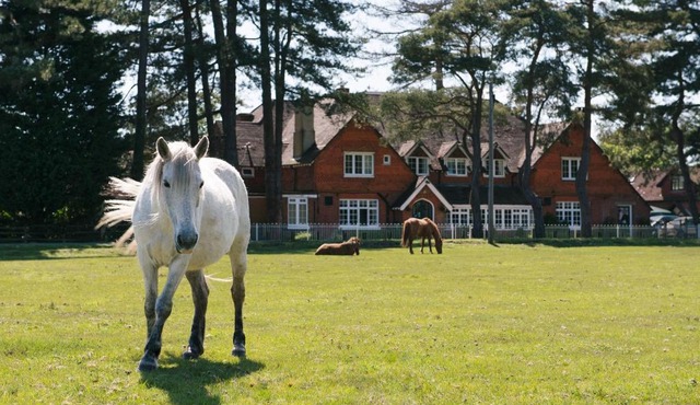Beaulieu Hotel